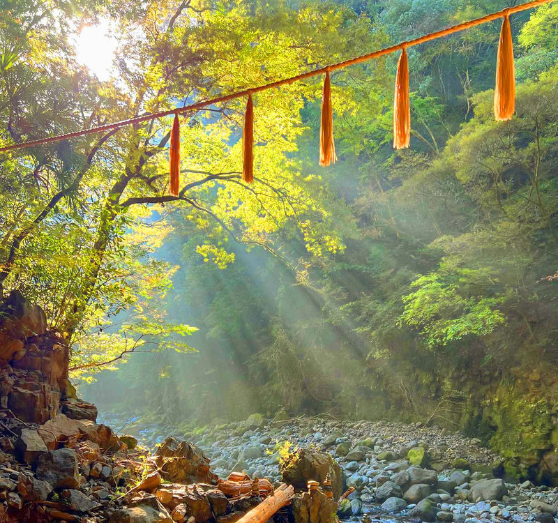 Takachiho Gorge and Scenic Train Day Trip (including boat ride experience) - What the guides add to the experience
