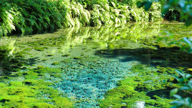 Takachiho Private Car Charter Day Tour: Takachiho Gorge, Takachiho Shrine, Ama-Iwato Shrine, Ama-no-Yasukawara, Miniature Train | Customized Private Group Itinerary - What the price covers, and what it does not