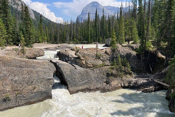 Takakkaw Falls Yoho National Park Bus Tour - Who Will Love This Tour?
