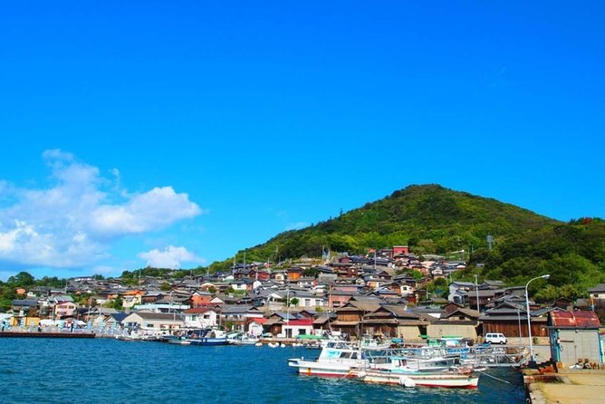 Takamatsu Full-Day Private Tour With Government-Licensed Guide - Private Vehicle Option