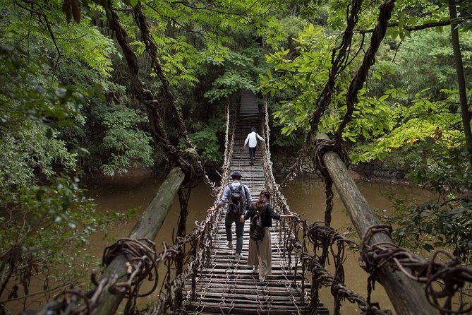 Takamatsu Half-Day Private Tour With Government-Licensed Guide - Cancellation Policy