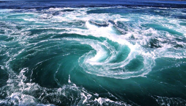 Takamatsu: Iya Valley, Oboke Gorge & Naruto Whirlpools Adventure - Who should book this day trip