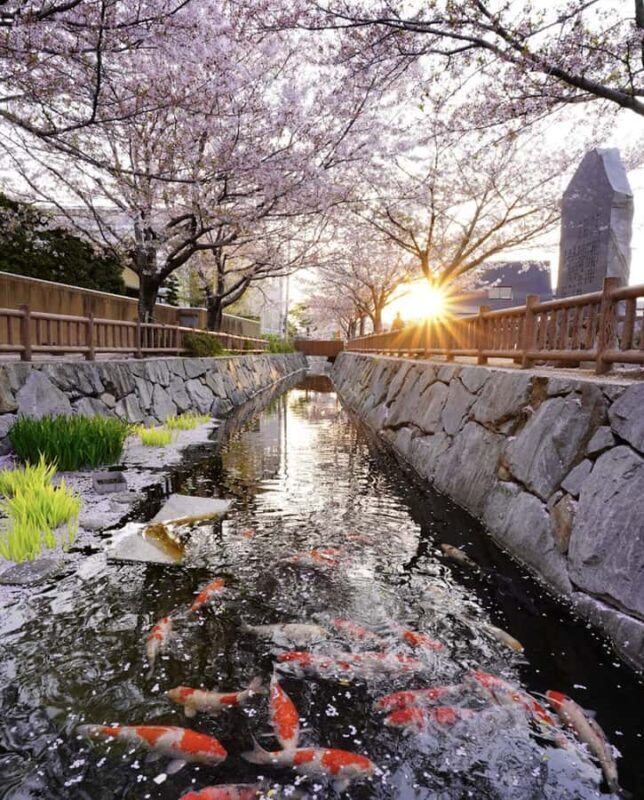 Takamatsu/Kagawa Private Custom Tour with Local Guide - Good To Know