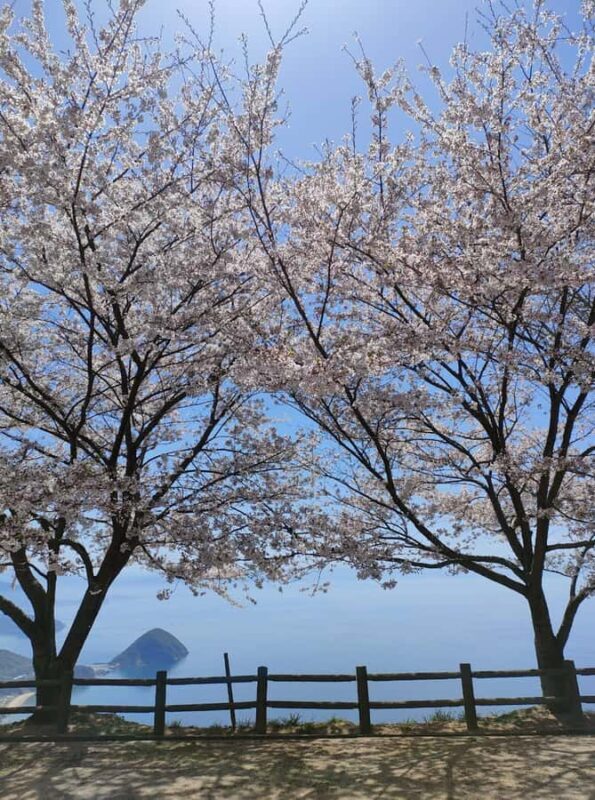 Takamatsu/Kagawa Private Custom Tour with Local Guide - An In-Depth Look at the Takamatsu/Kagawa Private Tour