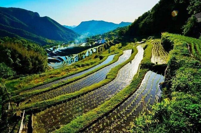 Takamatsu or Uno to Shodoshima Private Car and Ferry Tour - Final Thoughts