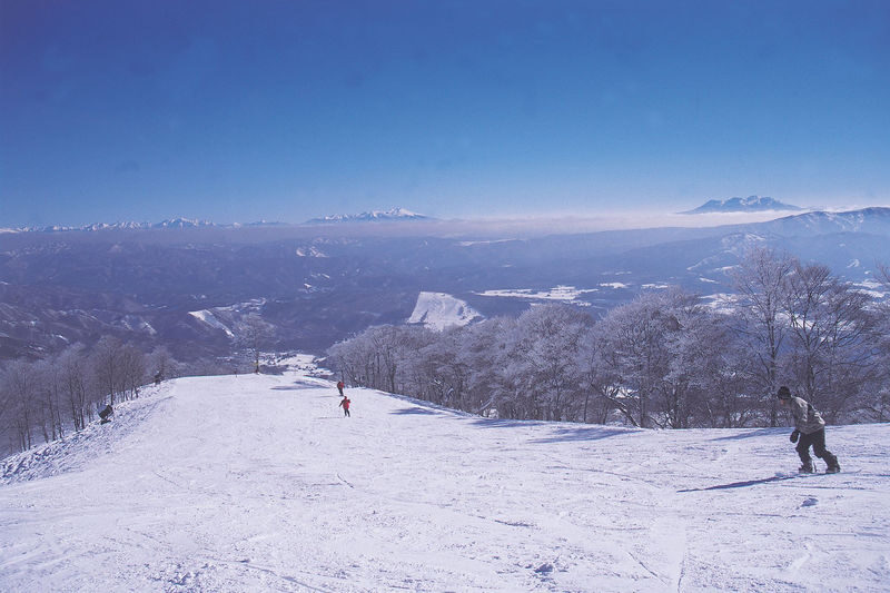 Takasu Snow Park 1DAY Tour from Nagoya - Lift access, gondola views, and what the ticket covers