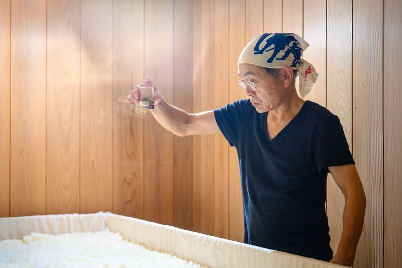 Takayama: Authentic Sake Tasting at a Historic Brewery - Who will enjoy this visit