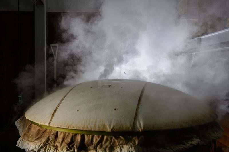 Takayama: Authentic Sake Tasting at a Historic Brewery - The practical call