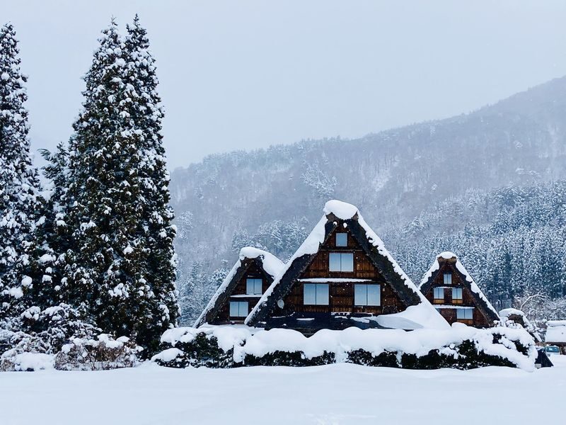 Takayama & Fairytale Shirakawa-go World Heritage DayTour from Nagoya - The quick take