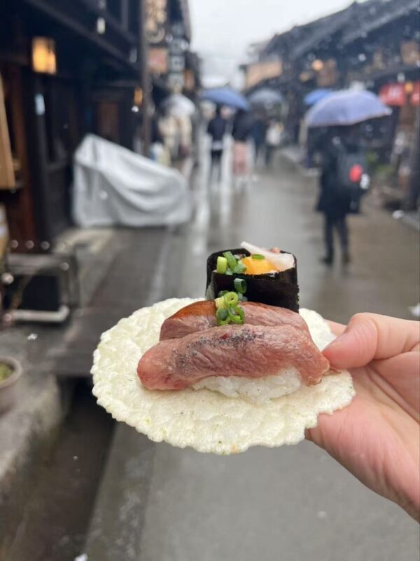 Takayama & Fairytale Shirakawa-go World Heritage DayTour from Nagoya - Should you book it?