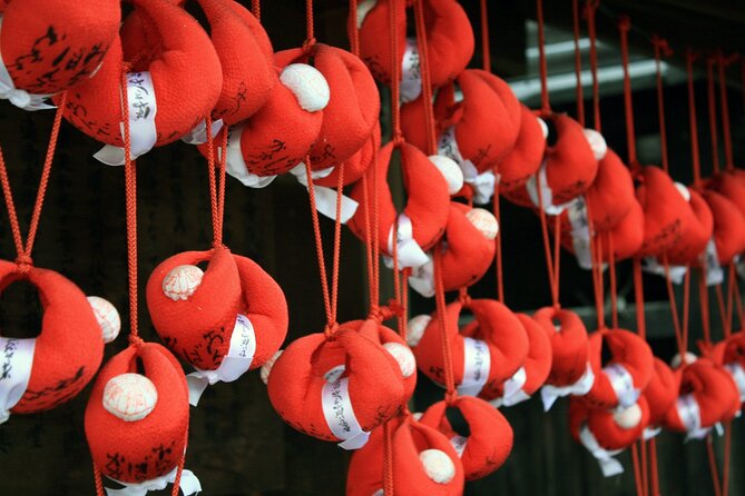 Takayama Full Day Tour (Private Guide) - Booking Information