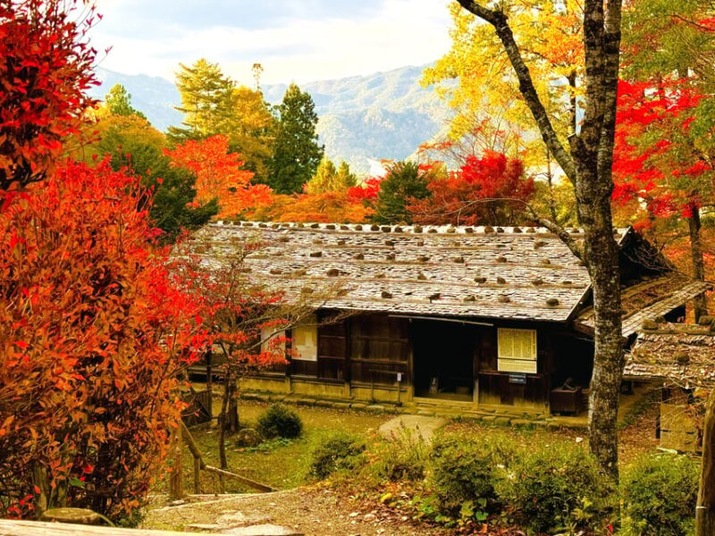 Takayama: Hida Folk Village Guided Tour with Bus Transfer - What Travelers Say: Genuine Perspectives