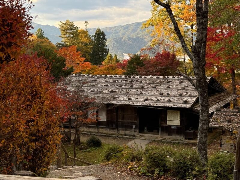 Takayama: Hida Folk Village Guided Tour with Bus Transfer - Who Will Love This Tour?
