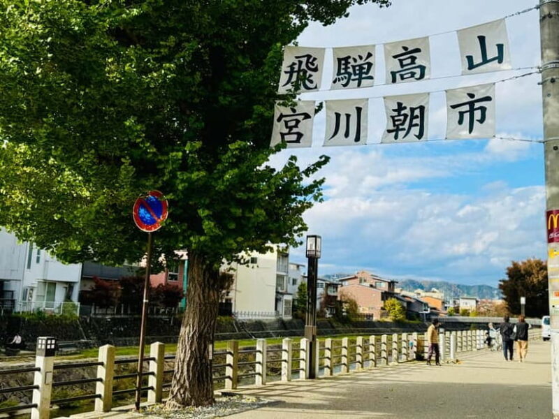 Takayama Private Custom Walking Tour - Final Thoughts