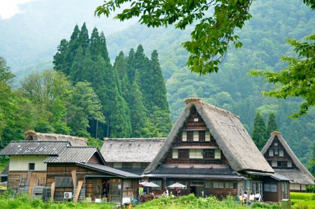 Takayama Shirakawa-go & Gokayama Full-Day UNESCO Tour - From Takayama, the bus does the hard part
