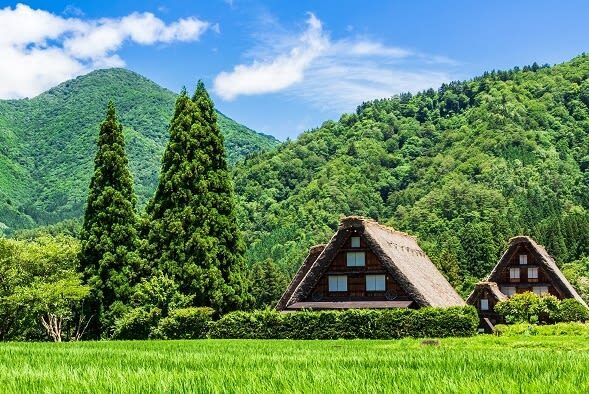 Takayama Shirakawa-go & Gokayama Full-Day UNESCO Tour - How much time do you really get?