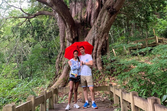 Takayama & Shirakawago 3 Days Tour - Tour Highlights