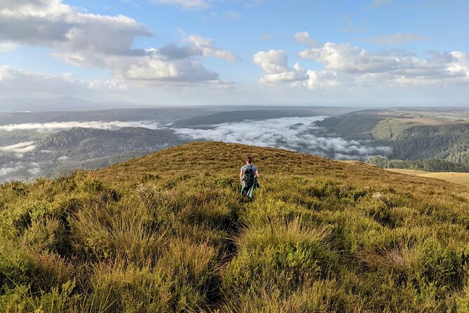 Takayna / Tarkine Wilderness Highlights Hiking Tour - 5 Days - The Sum Up