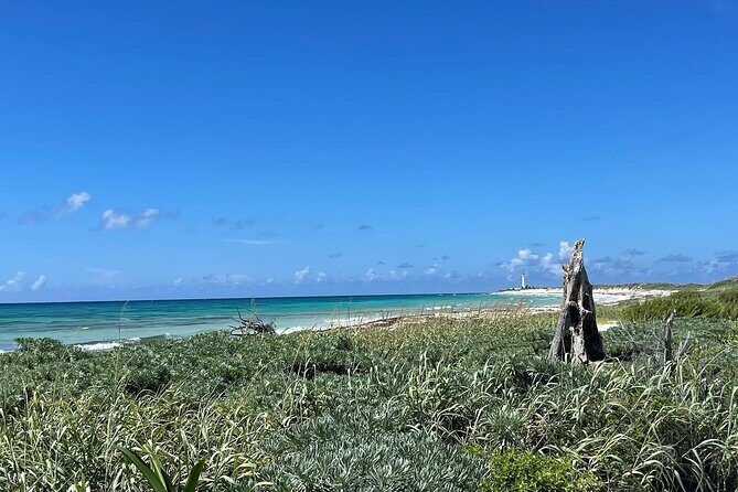 Take a Ride in your Buggie in Cozumel only from Tulum - The Experience Breakdown