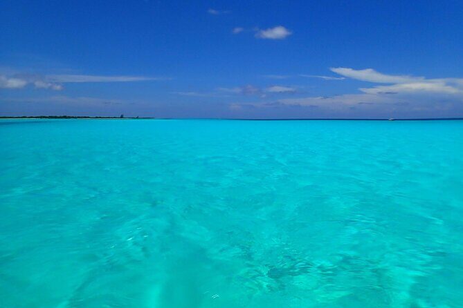 Take a Ride in your Buggie in Cozumel only from Tulum - Who This Tour Is Best For