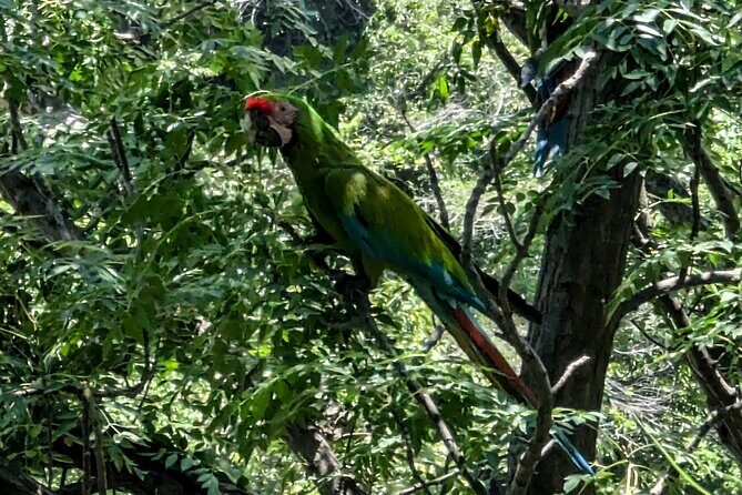 Take an Adventure to a Secret Swimming Spot - Good To Know