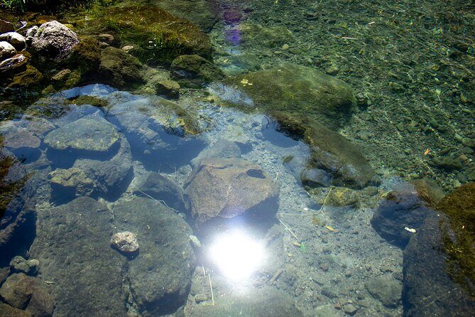 Take an Adventure to a Secret Swimming Spot - Practical Details: Timing, Cost, and Group Size