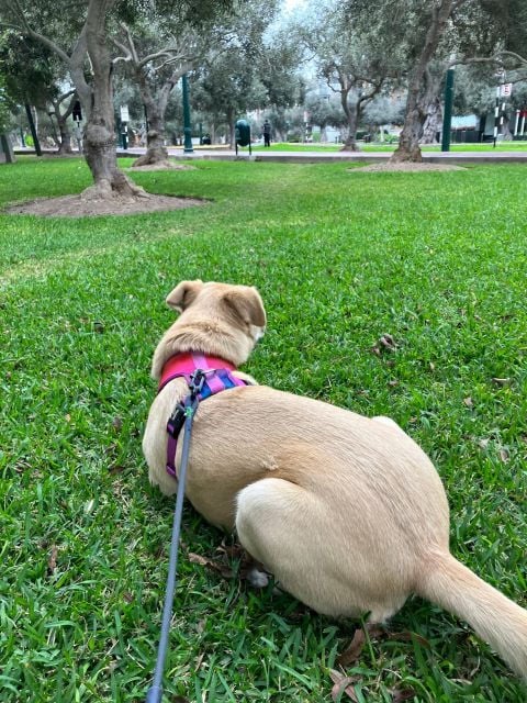 Take an Hour Stroll Around the Hidden Gems of El Olivar Park - Hidden Gems and Cultural Stories