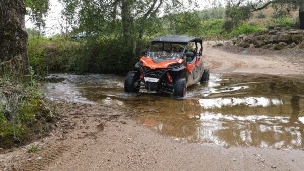 Take Buggy Tour - Frequently Asked Questions