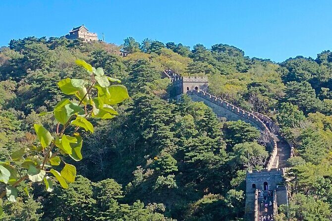 Take Bullet Train to visit Badaling Great Wall with guide ticket. - Who Is This Tour Best Suited For?