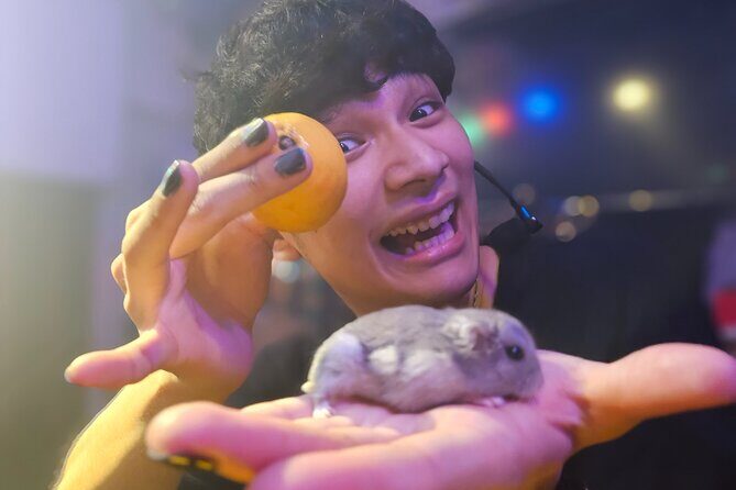 Take Home the Wonder: Magic Show and Magic Lesson Experience - Final Thoughts