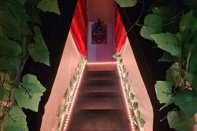 Take Home the Wonder: Magic Show and Magic Lesson Experience - A Closer Look at the Experience