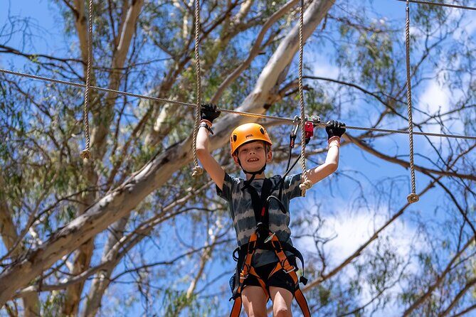 Take the Challenge and Conquer the Salisbury Treetops - Authentic Experiences and Practical Insights
