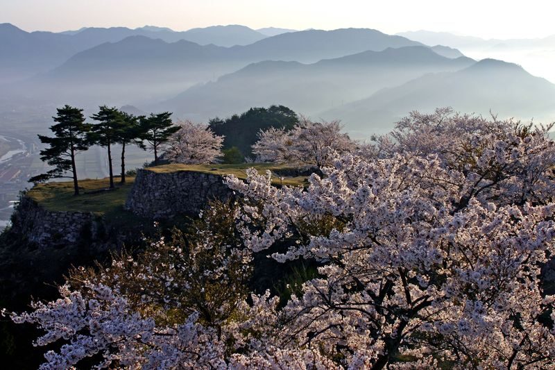 Takeda Castle Ruins Admission Ticket - Stone walls and the view over Asago