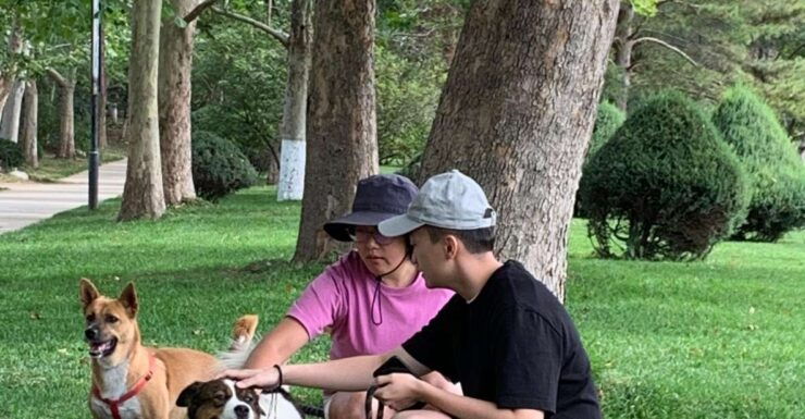 Taking a Walk With Rescue Puppies - Activity Highlights