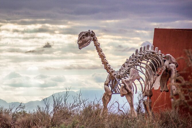 Talampaya and the Valley of the Moon From La Rioja - Itinerary for the Day Trip