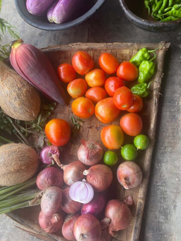 Talangama Wetlands Birdwatching & Local Village Experience - Discovering the Talangama Wetlands Birdwatching & Village Experience