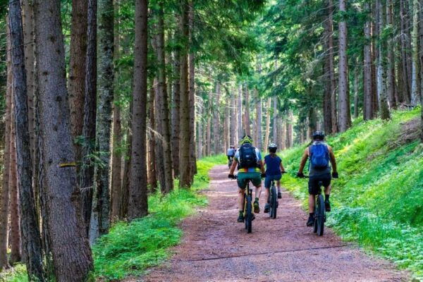 Talence: Bike and Accessories Rentals - Booking Process and Reservation Instructions