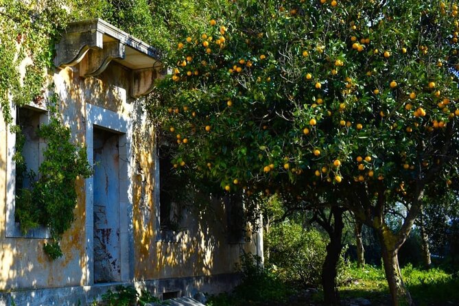 Tales of Kefalonia: Castles, Villages and Gastronomic Traditions - Tips for a Successful Trip