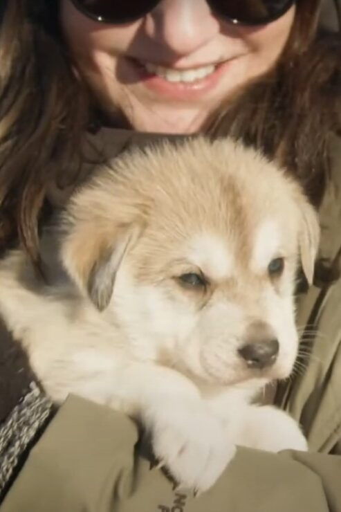 Talkeetna: Alaskan Winter Dog Sledding Experience - Booking Information