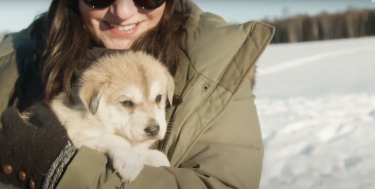 Talkeetna: Alaskan Winter Dog Sledding Experience - Pricing and Duration