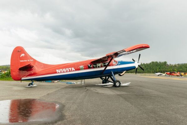 Talkeetna: Grand Denali Flight With Optional Glacier Landing - Meeting Point and Important Information