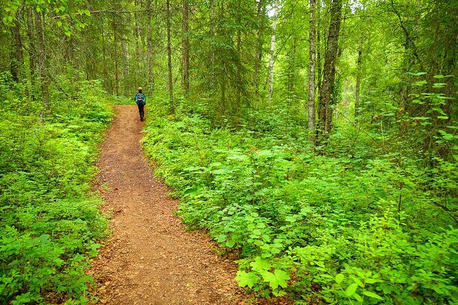 Talkeetna Lakes Hike Guided by a Naturalist - Good To Know
