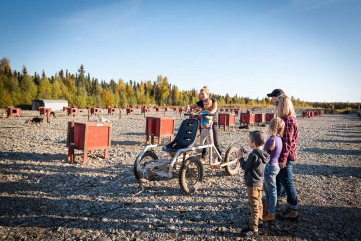 Talkeetna: Mushing Experience With Iditarod Champion Dogs - Group Size and Instructor