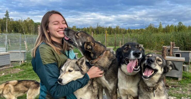 Talkeetna: Summer Sled Dog Kennel Tour - Activity Information