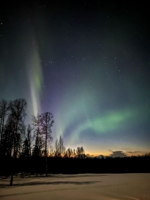 Talkeetna: Winter Dog Sled Tour Morning or Night Mush! - Participant and Date Information