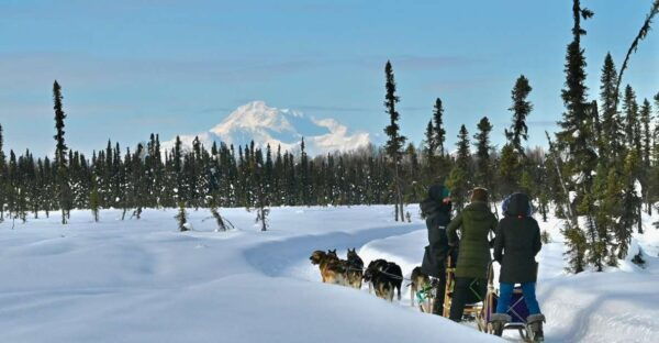 Talkeetna: Winter Dog Sled Tour Morning or Night Mush! - Directions