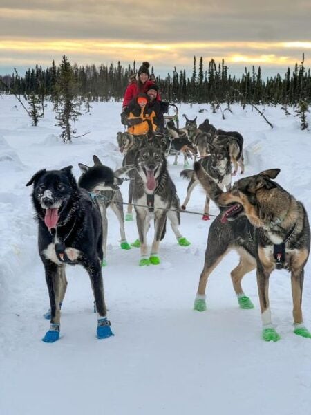 Talkeetna: Winter Dog Sled Tour Morning or Night Mush! - Common Questions