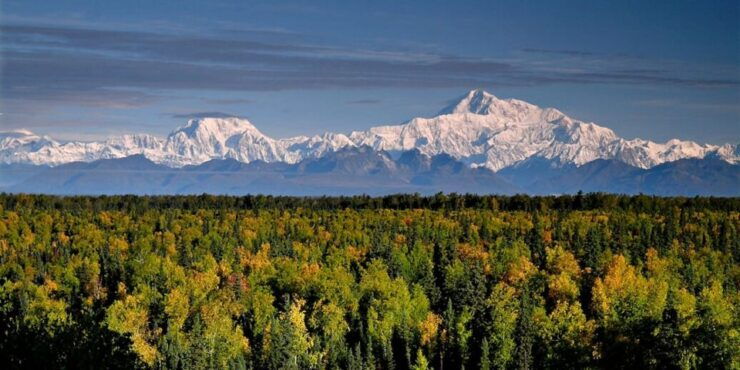 Talkeetna: Zipline Tour - Experience