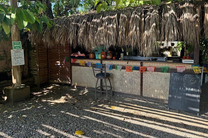 Taller de Cacao Todo Incluido - An In-Depth Look at the Taller de Cacao Todo Incluido Tour