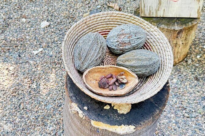 Taller de Cacao Todo Incluido - FAQ